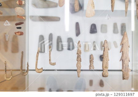 Museum showcase with ancient artifacts including bone fishing hooks, arrowheads, and stone tools. The display highlights prehistoric craftsmanship and early human technology. Museum showcase with ancient artifacts including bone fishing hooks, arrowheads, and stone tools. The display highlights prehistoric craftsmanship and early human technology. 129311697