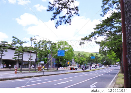 ピンボケ写真集、奈良公園周辺の風景 ピンボケ写真集、奈良公園周辺の風景 129311924