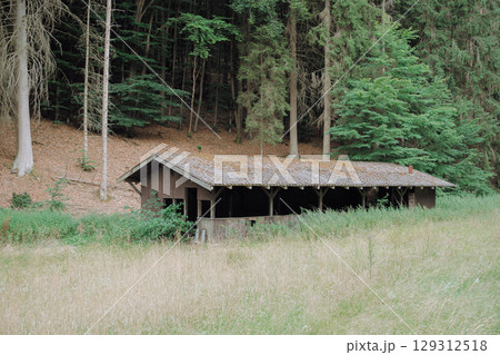 Abandoned wooden shelter stands quietly in a forest clearing, surrounded by lush trees and overgrown grass, offering a glimpse into nature's reclamation and serenity. 129312518