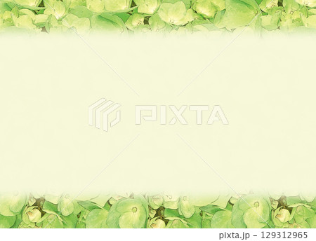 やさしい黄緑色のあじさいフレーム(背景・テクスチャ素材) やさしい黄緑色のあじさいフレーム(背景・テクスチャ素材) 129312965