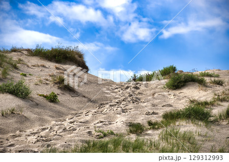Sandy dune landscape with blue sky and fluffy clouds on a bright summer day. 129312993