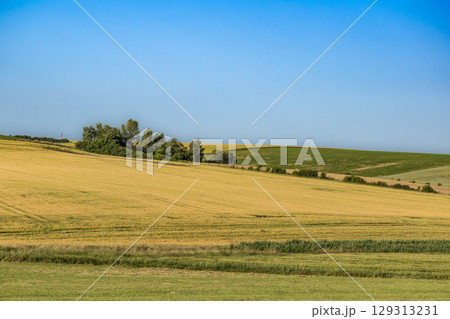 Countryside landscape with sky and fields, real life photo Countryside landscape with sky and fields, real life photo 129313231