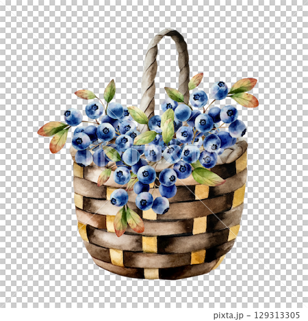 Watercolor juicy blueberries with green leaves in wicker basket. Botanical hand drawn isolated illustration ideal for seasonal, forest, or nature-themed designs. Rustic foliage perfect for fall decor 129313305