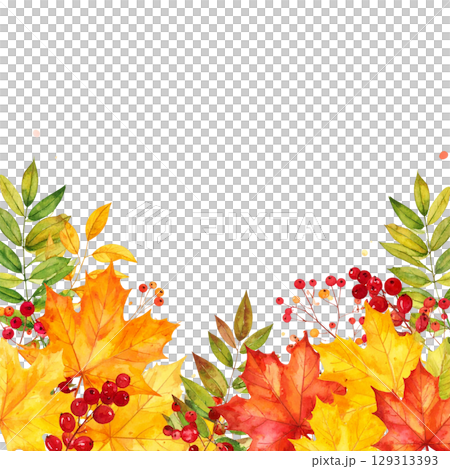 Golden falling leaves frame a bright autumn background. Beautiful maple leaf border represents the colorful season isolated on white background. Golden falling leaves frame a bright autumn background. Beautiful maple leaf border represents the colorful season isolated on white background. 129313393