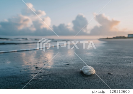 Close-Up of a White Seashell on the Wet Sandy Beach at Dawn with Gentle Waves 129313600