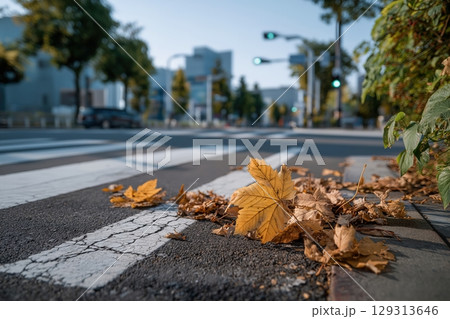 Golden Autumn Leaves on a City Crosswalk with Blurred Urban Background and Soft Lighting Golden Autumn Leaves on a City Crosswalk with Blurred Urban Background and Soft Lighting 129313646