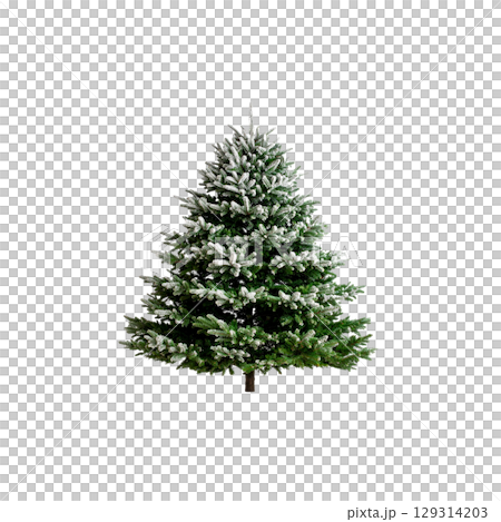 Isolated green Christmas tree with decorations on white background 129314203