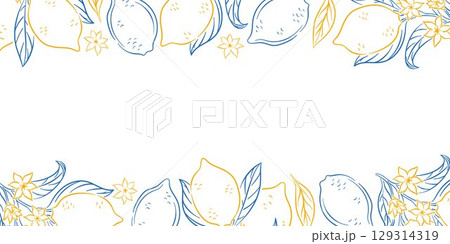 Branch border with lemon, leaf and blossom flower in line art style on a white background. Design for card, banner design, invitation. 129314319
