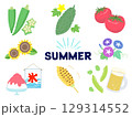 夏　イラスト　セット　花と野菜と食べ物　ベクター 129314552