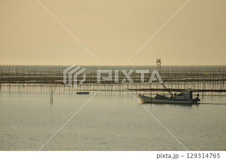 大牟田市 有明海 海苔畑、 大牟田市 有明海 海苔畑、 129314765