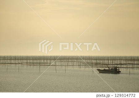 大牟田市 有明海 海苔畑、 大牟田市 有明海 海苔畑、 129314772