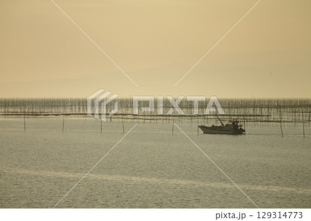 大牟田市 有明海 海苔畑、 大牟田市 有明海 海苔畑、 129314773