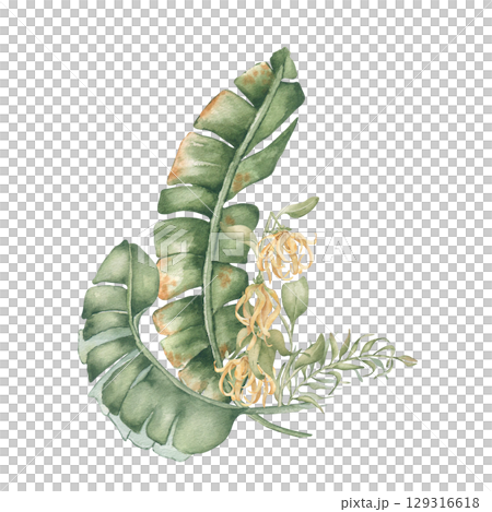 Tropical leaves and yellow flowers watercolor in neutral tones isolated. Banana palm fronds and foliage hand drawn. Ylang ylang plant with greenery botanical illustration for design beach style. 129316618