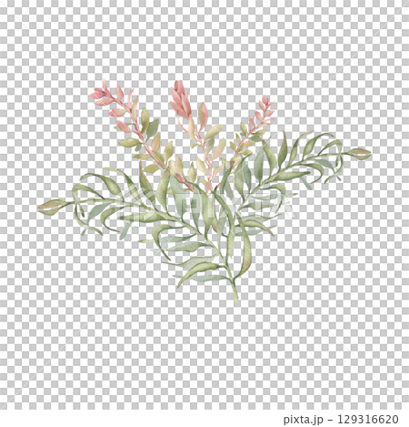 Tropical bush watercolor in blush pink and soft colors isolated on white. Areca palm leaves and callistemon branches hand painted. Delicate tropical bouquet botanical art for wedding beach design. 129316620