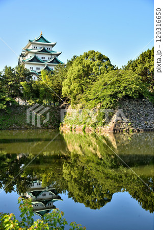 《愛知県》お堀に映る名古屋城天守閣 129316650