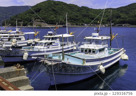 愛媛県三崎漁協井野浦支所に停泊する漁船と青い海の穏やかな夏の港風景 129316756