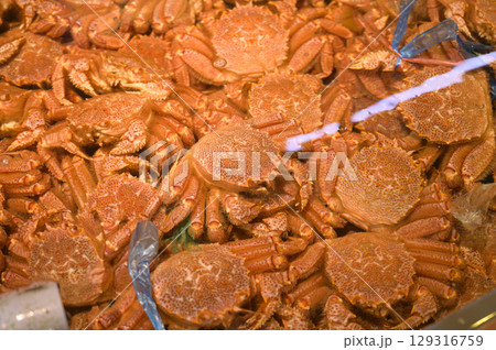 函館朝市の生簀（毛ガニ） 129316759