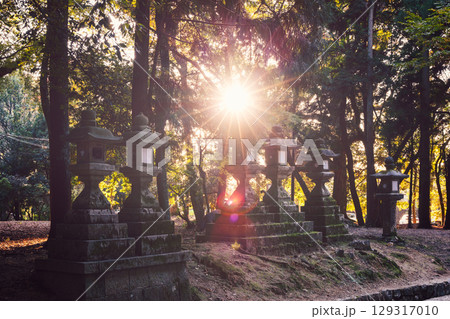 Vintage toned view of ancient stone lanterns in Nara Park with sunburst rays through trees 129317010