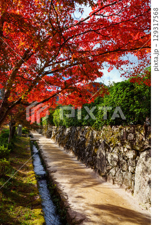 真っ赤な紅葉の小径 129317568