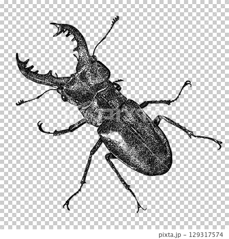 ミヤマクワガタのペン画イラスト 129317574