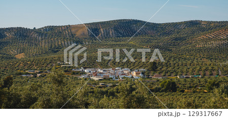 Vadofresno in a valley of olive-covered hills Vadofresno in a valley of olive-covered hills 129317667