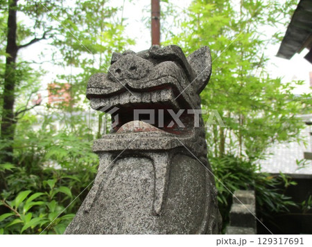 祖霊社狛犬 祖霊社狛犬 129317691