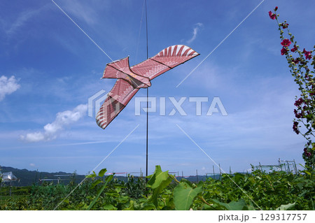鳥よけカイト03 129317757