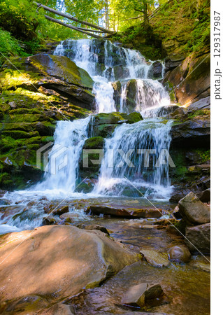 waterfall in the forest on a summer morning. rocks with moss in dappled light. refreshing nature scenery 129317987
