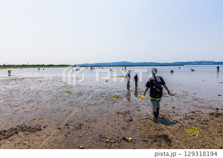 【北海道_網走市】能取湖で潮干狩りを楽しむ 6月 7月 【北海道_網走市】能取湖で潮干狩りを楽しむ 6月 7月 129318194