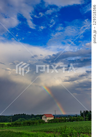 雨上がりの北海道、虹が微笑む瞬間 129318366