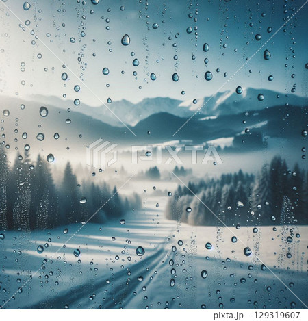 winter in the forest 129319607