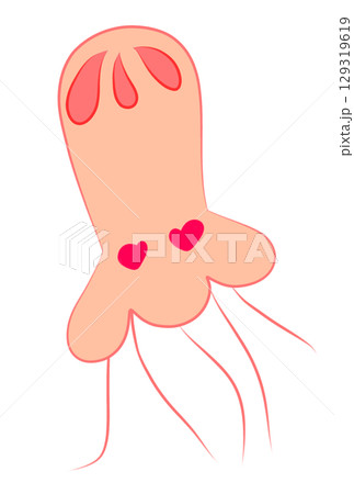 恋するクラゲ 恋するクラゲ 129319619