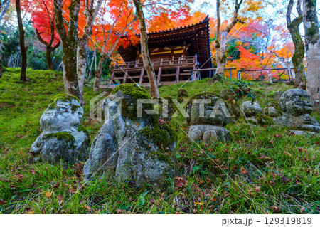 京都　愛宕念仏寺の秋 129319819
