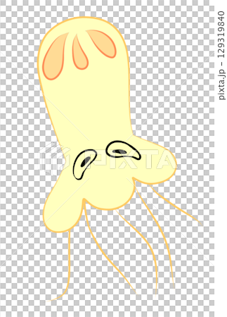 カラフルなクラゲ カラフルなクラゲ 129319840