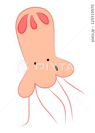 カラフルなクラゲ 129319970