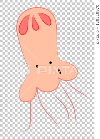 カラフルなクラゲ 129319970