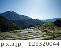 大山千枚田　棚田 129320044