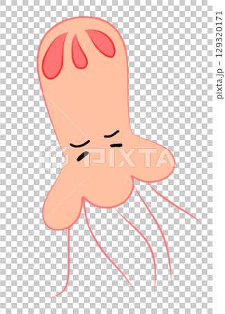 カラフルなクラゲ カラフルなクラゲ 129320171