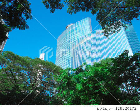 躍動するフィリピン - マニラ・マカティの中心街 　都市景観（2025年6月） 129320172