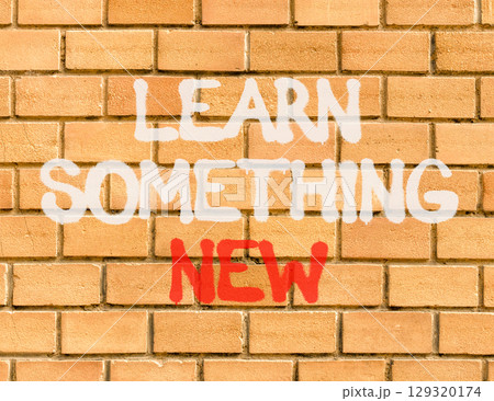 Learn something new symbol. Concept words Learn something new on beautiful brick wall . Beautiful brick wall background. Business motivational lifestyle learn something new concept. Copy space. 129320174