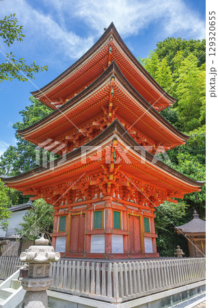 竹生島 宝厳寺の三重塔	 129320655