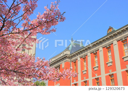 愛知県名古屋市、名古屋市市政資料館と桜の風景 愛知県名古屋市、名古屋市市政資料館と桜の風景 129320673