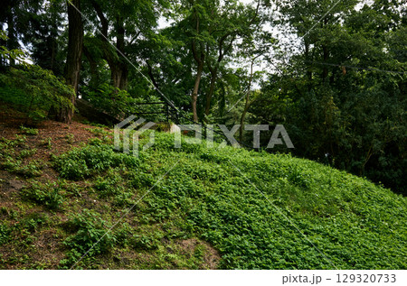 Lush green hillside with a stone wall and a metal gate 129320733