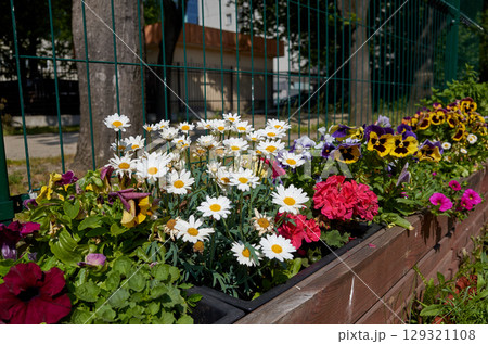 Colorful flower garden with a fence in the background 129321108
