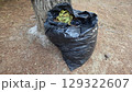 Outdoor cleanup concept with black garbage bag full of leaves 129322607