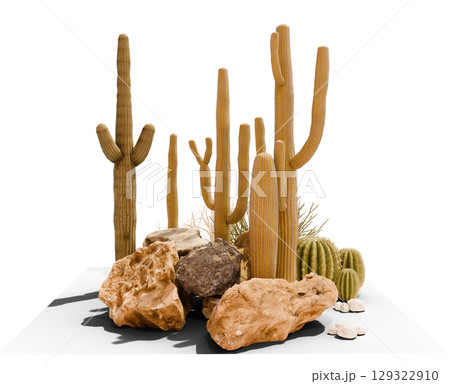 isolated desert plant with rock group on white background with clipping path, 3d illustration rendering  129322910