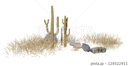 isolated desert plant with rock group on white background with clipping path, 3d illustration rendering isolated desert plant with rock group on white background with clipping path, 3d illustration rendering 129322911