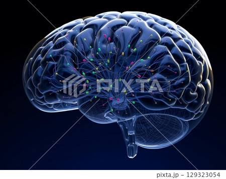 Human Brain: Neural Connections and Complex...のイラスト素材 [129323054] - PIXTA
