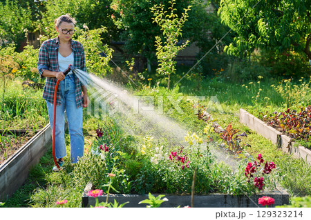 Woman with hose watering vegetable flower plants on raised garden bed Woman with hose watering vegetable flower plants on raised garden bed 129323214