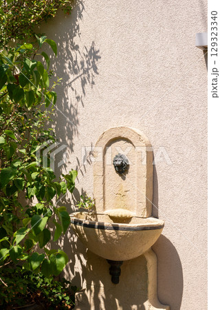 Close-up of a decorative detail on a house wall in a garden 129323340